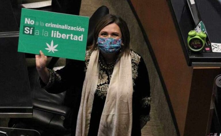 El Senado aprueba el uso de la marihuana