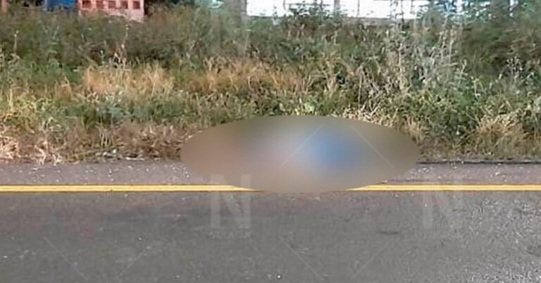 Hombre muere atropellado en la carretera Mérida – Progreso
