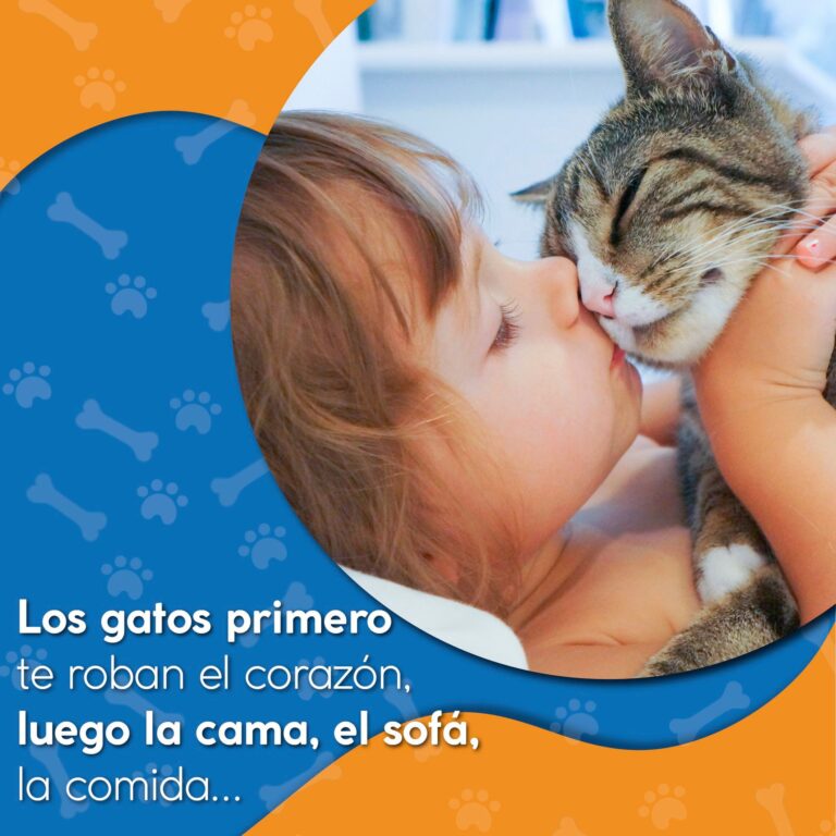Incineradora de mascotas