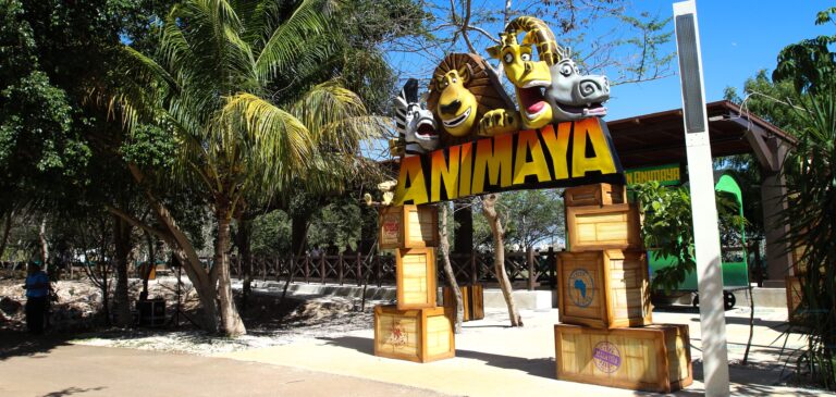 ANIMAYA REAPERTURA, próximo 19 de mayo