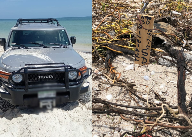 CAMIONETA INVADE ZONA DE ANIDACIÓN DE TORTUGAS EN PLAYAS DE YUCATÁN