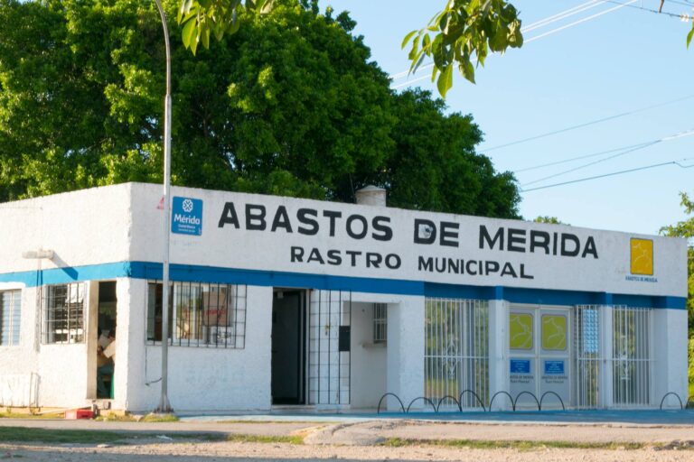 CONOCE EL RASTRO DE MÉRIDA, SU CAPACIDAD Y PROTOCOLOS DE SALUD