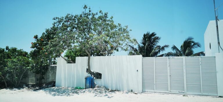 LEVANTA MURO SIN TALAR ÁRBOL