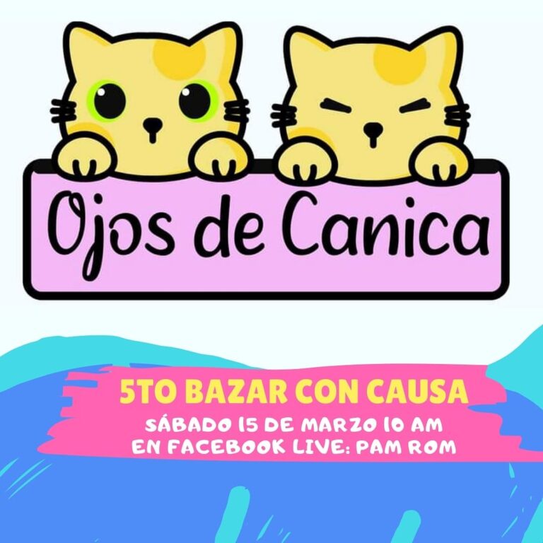 Invitan a bazar Ojos de canica para mascotas rescatadas