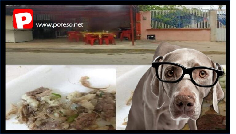 Cancún: Clausuran taquería tras polémica de tacos de perro
