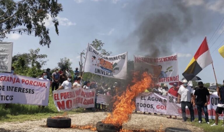 PROTESTAN EN HOMÚN TRAS APLAZAMIENTO DE AUDIENCIA POR GRANJAS PORCÍCOLAS