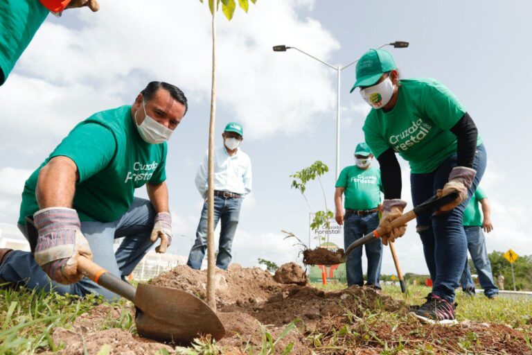 Impulsan políticas públicas sobre conservación del medio ambiente