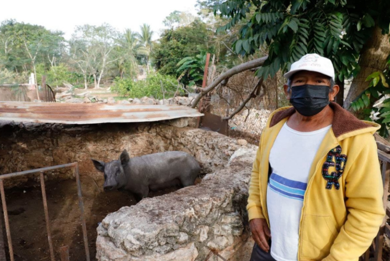 Círculo 47, el programa que impulsa el desarrollo integral de productores en comisarías de Mérida