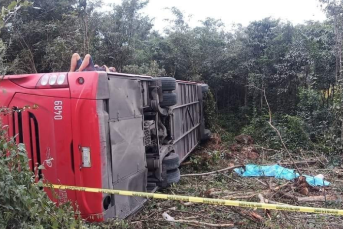 autobús