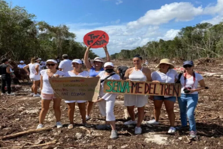 Usuarios reclaman a Semarnat por callar sobre 45 asesinatos de ambientalistas