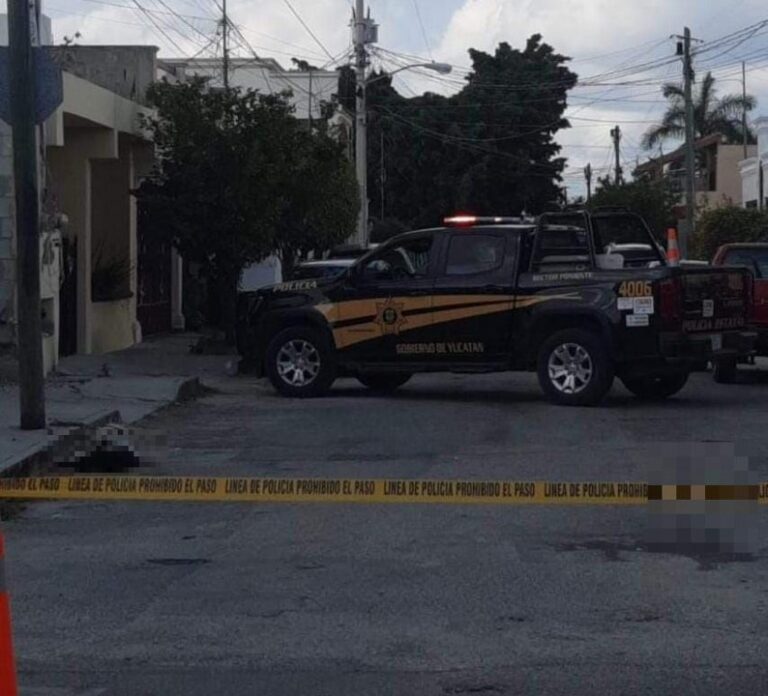 Macabro Descubrimiento en Residencial Pensiones: Perro Hallado sin Vida y Herido en Calles Mérida
