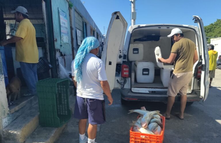 «Estabilidad en los Precios del Mero: Antes de la Veda y en Previsión de la Cuaresma»